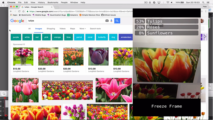 tulip_screenshot-c4dcfe003a7f4aa6b089ae087e2c458a