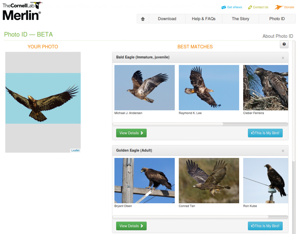 image07-a0114e5d931b331a65356ec586c5aefa