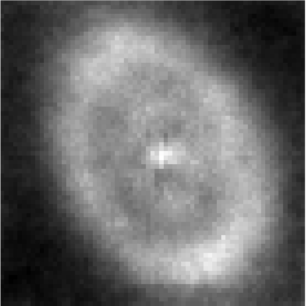 Final_Figure_5-f36130a31d13e3b3b2952db03178b36f