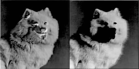 Figure_9-bfdc2ca87cf9941890142cd24f086e43